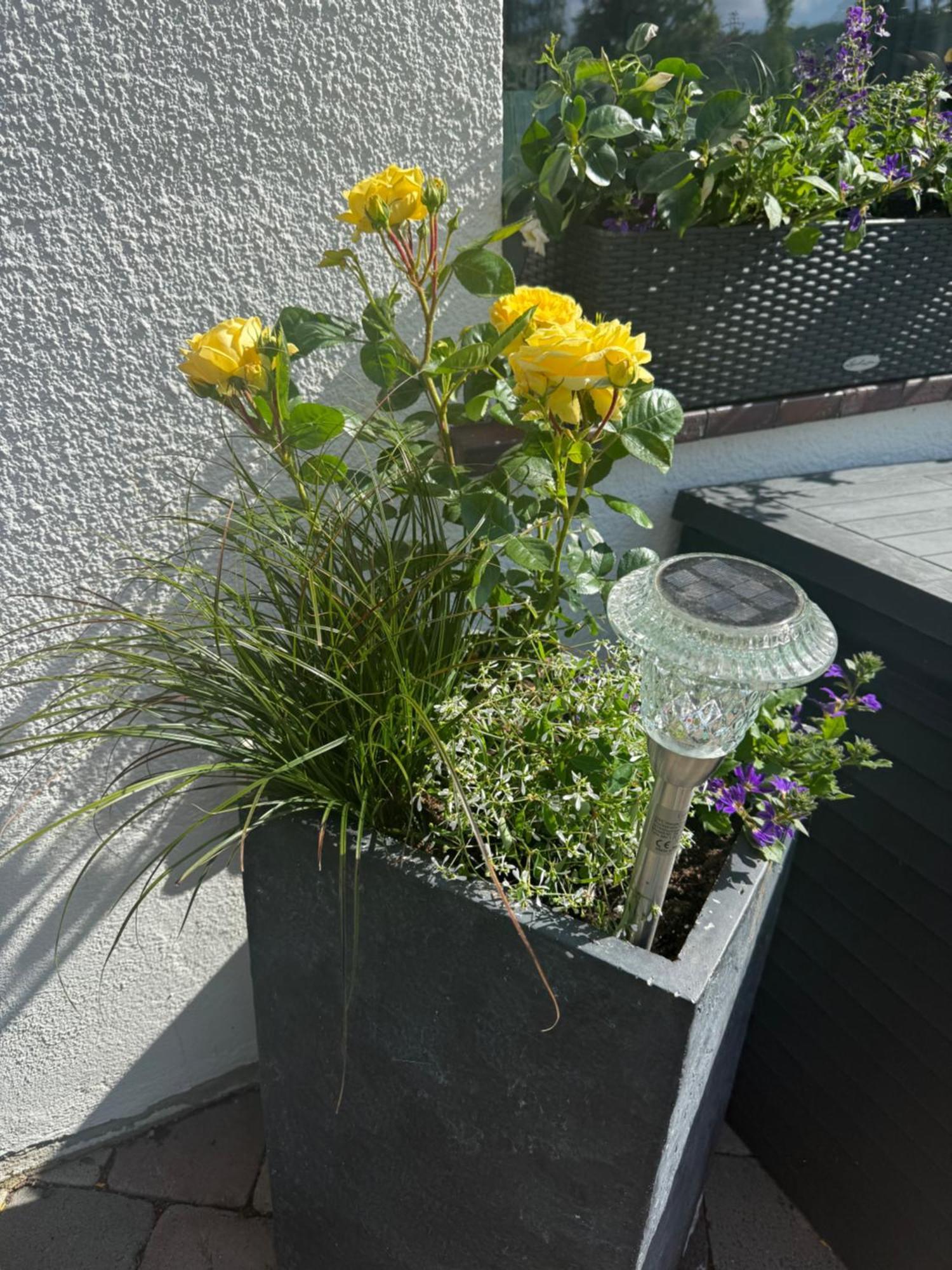 Hemfurth-Edersee Hotel Pension Haus Talblick Edersee מראה חיצוני תמונה